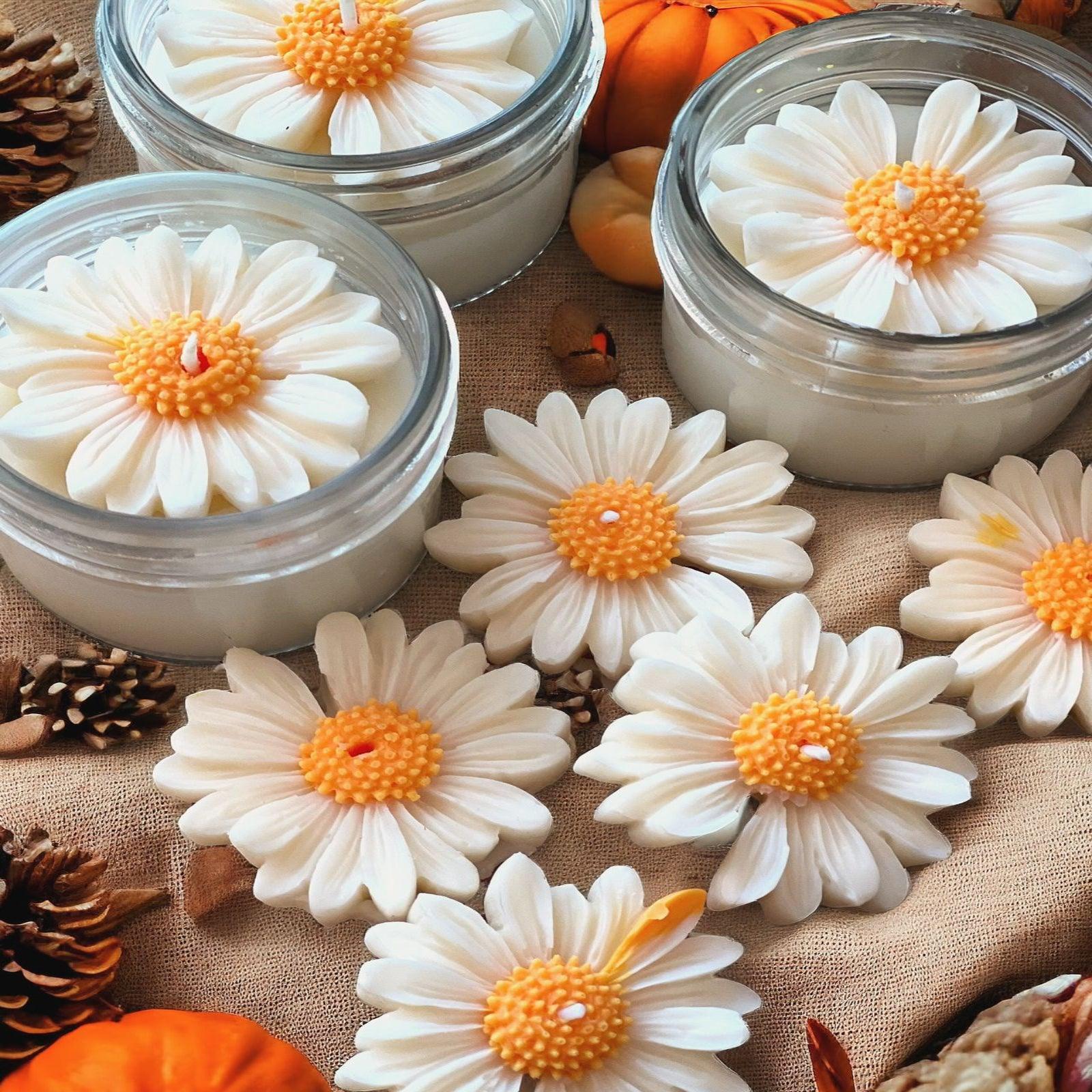 Box of Daisy Candles - Shy Concepts